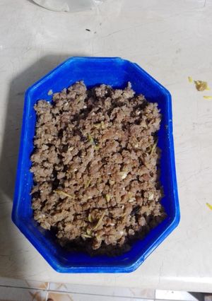 A picture of Dum ka qeema.