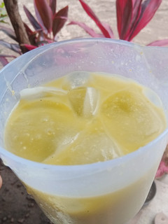 Foto resep Jus alpukat susu