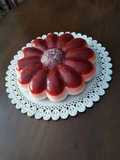 Cheesecake al fragole tricolore senza cottura