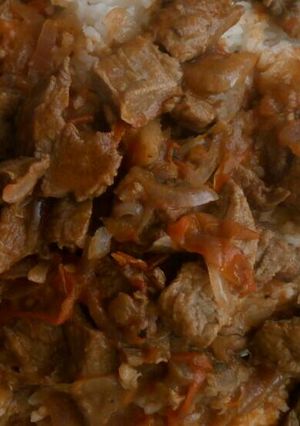 A picture of Stewed Beef and Rice.