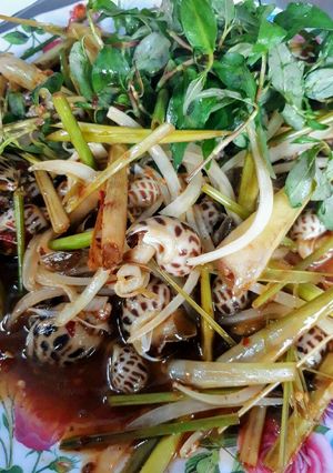 Hình của món Ốc hương xào 10'.