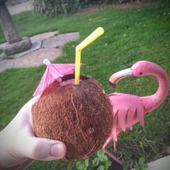 A picture of Rum coconut cocktail.