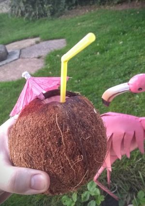 A picture of Rum coconut cocktail.