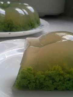 Foto resep Puding Lumut