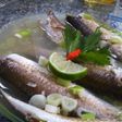 Tim ikan Blanak
