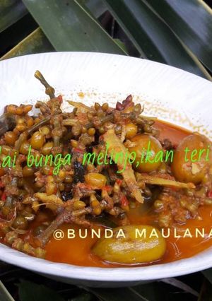 Foto resep Gulai bunga melinjo,ikan teri mantap