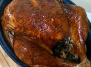 A picture of thanksgiving turkey