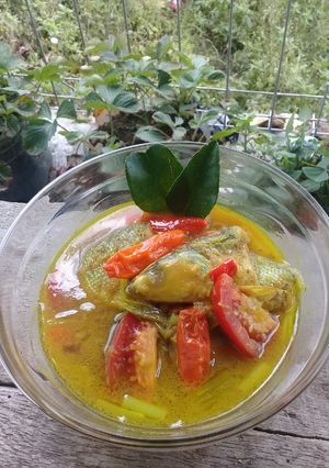 Foto resep Ikan Bandeng kuah kuning (asam pedas)