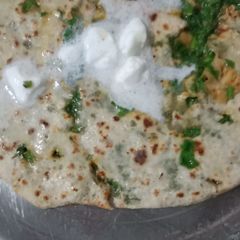 A picture of Palak parantha.