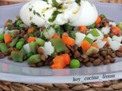 Una foto de lenteja pardina vegetariana