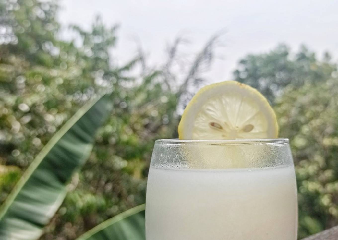463. Es Yakult Lemon
