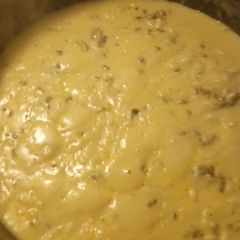 A picture of Cream of Mushroom, Beef, and Rice.