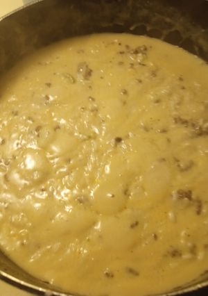 A picture of Cream of Mushroom, Beef, and Rice.