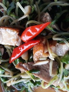 รูปของ ต้นอ่อนทานตะวันผัดน้ำมันหอยหมูกรอบ