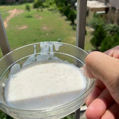 A picture of Sago Kheer.