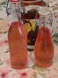 Sherbeth - Bevanda rinfrescante al basilico viola