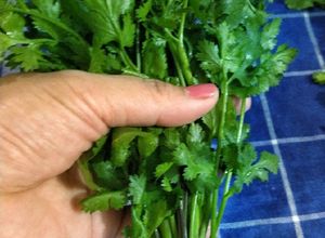 Foto resep Tips Menyimpan Cilantro