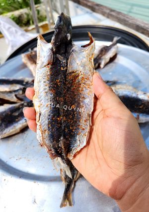 Hình của món Cá chuồn một nắng.