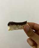 Barritas heladas snacks