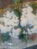 Tlacoyos with Nopales