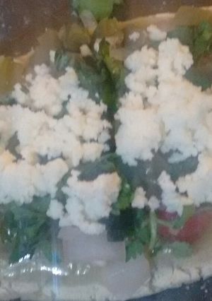 A picture of Tlacoyos with Nopales.