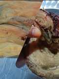 Roti Maryam