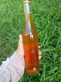 Kombucha