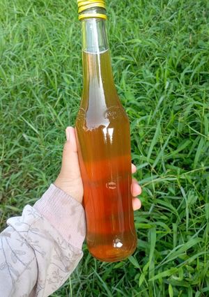Foto resep Kombucha