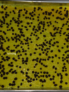 Foto resep Lekker holland