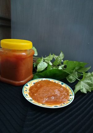 عکسی از دستور ❤️رب آلو زرد