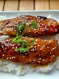 Unagi Kabayaki