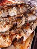 Cá Mackerel Nướng Lá Thơm Provence (Rosemary, Thyme, Oregano, Basils)
