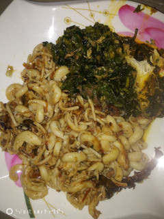 A picture of Macaroni and vegetable sauce.