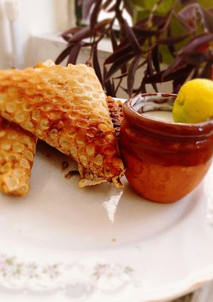 عکسی از دستور سمبوسه