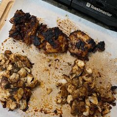 A picture of Chipotle chicken portion size freeze ready.