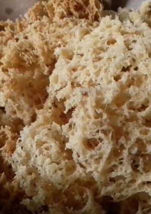 Foto resep Kremesan Renyah dan Bersarang