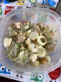 Ensalada de caracol con palmito