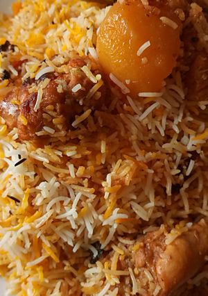 A picture of Sindhi biryani.