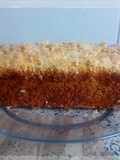 Budín de melón 🍈en licuadora