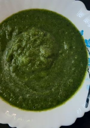 કાચી કેરી ની લીલી ચટણી (Raw Mango Green Chutney Recipe In Gujarati) રેસીપી મુખ્ય ફોટો