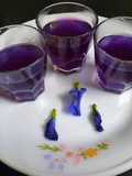 गोकर्ण फुलांचा चहा (Butterfly Pea Flower Tea Recipe In Marathi)