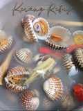 Kerang Rebus