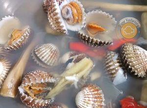 Gambar Kerang Rebus