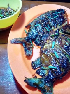Foto resep Ikan Bawal Bakar Madu