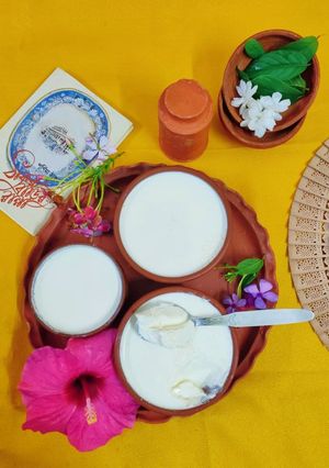 টক দই (tok doi recipe in Bengali) রেসিপির প্রধান ছবি
