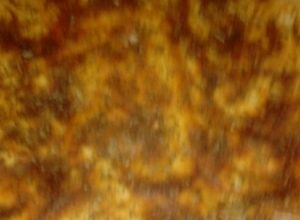 Una foto de Pizza rapidita para el metecito amargo