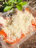 Salad Buah Pepaya (Boleh pakai buah apa aja)