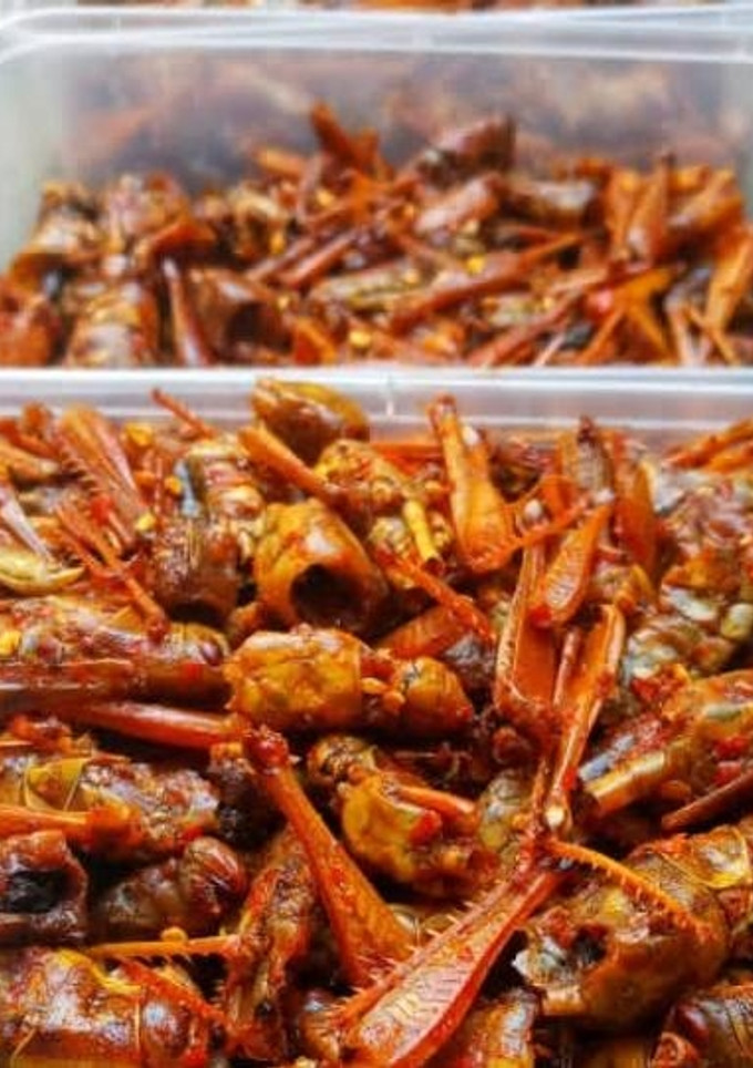 A picture of Crispy grasshopper.