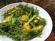 Gambar sayur daun adas tanpa santan