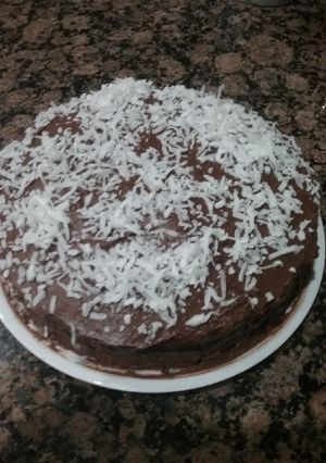 A picture of Chocolate coconut cake.